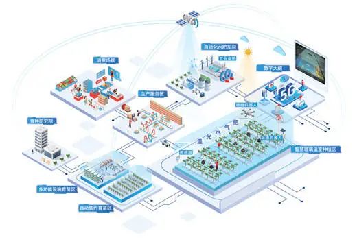 物聯(lián)網(wǎng)走進云興小學 植物工廠點亮智慧教育新篇章