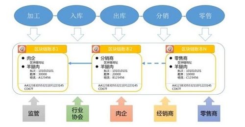 網絡傳輸設備 物聯網時代的數字脈絡